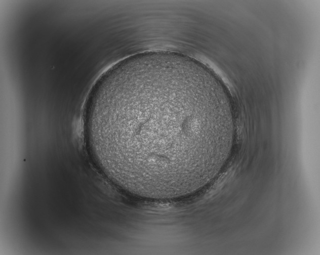 X0000102470975200808151424