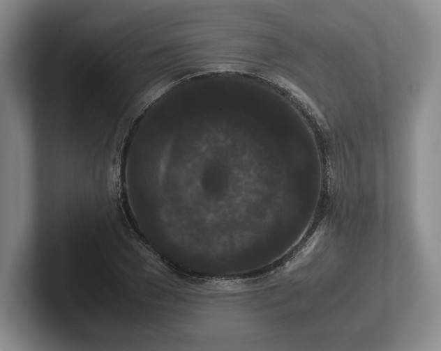 X0000102470977200808151424