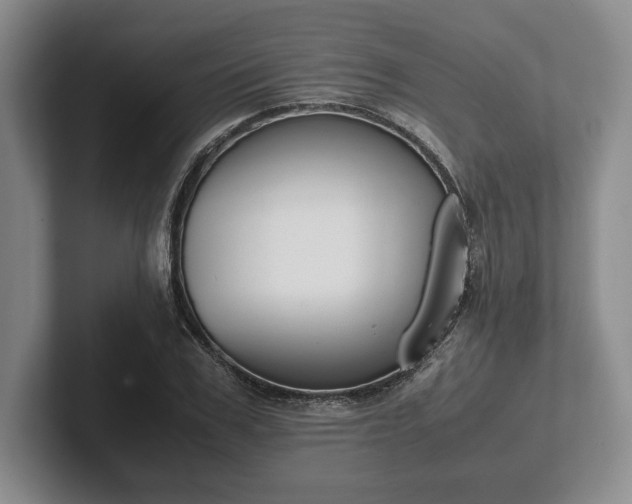 X0000102470979200808151424