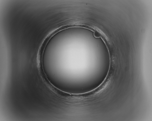 X0000102470981200808151424