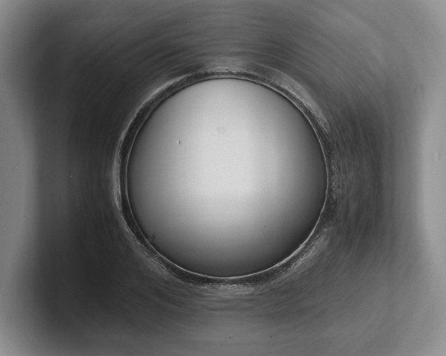 X0000102470984200808151424