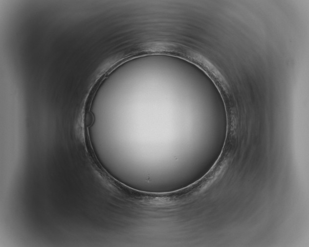 X0000102470986200808151424