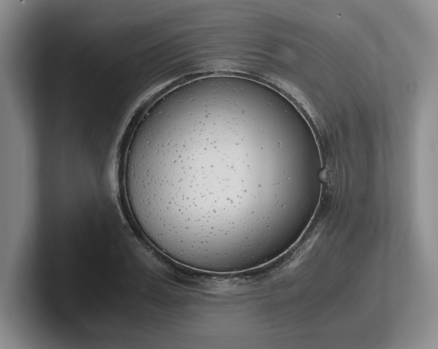 X0000102470987200808151424