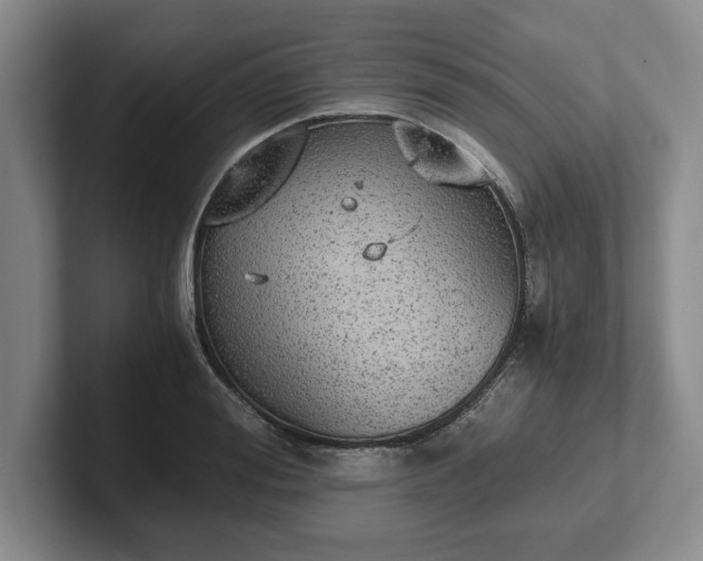 X0000102470988200808151424