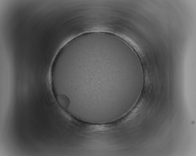 X0000102470990200808151424
