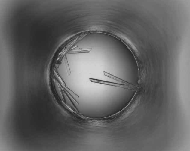 X0000102470991200808151424