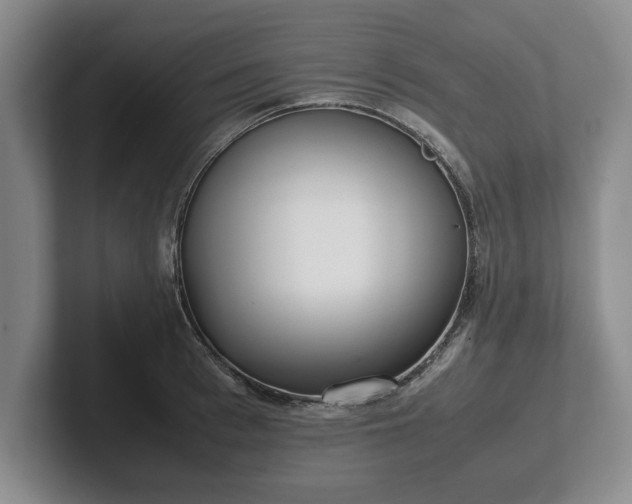 X0000102470993200808151424