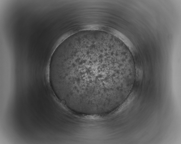X0000102470994200808151424