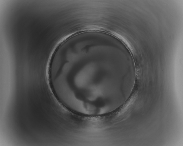 X0000102470995200808151424