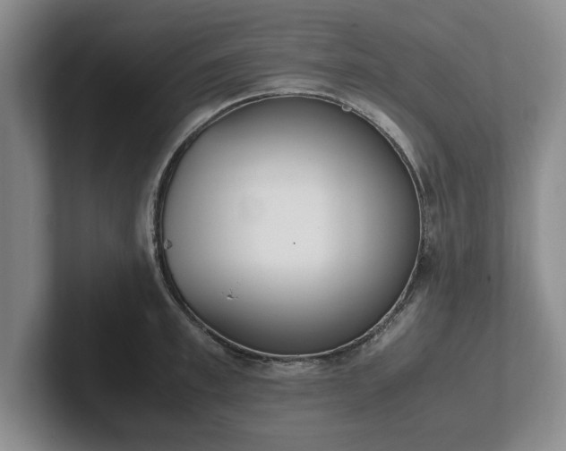 X0000102470997200808151424