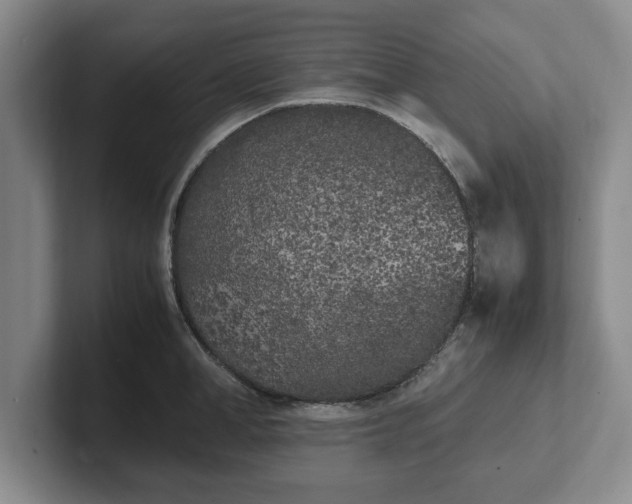 X0000102470998200808151424