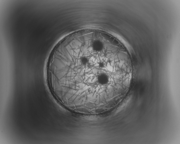 X0000102470999200808151424