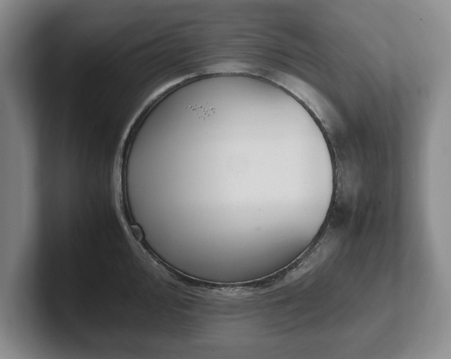 X0000102471000200808151424