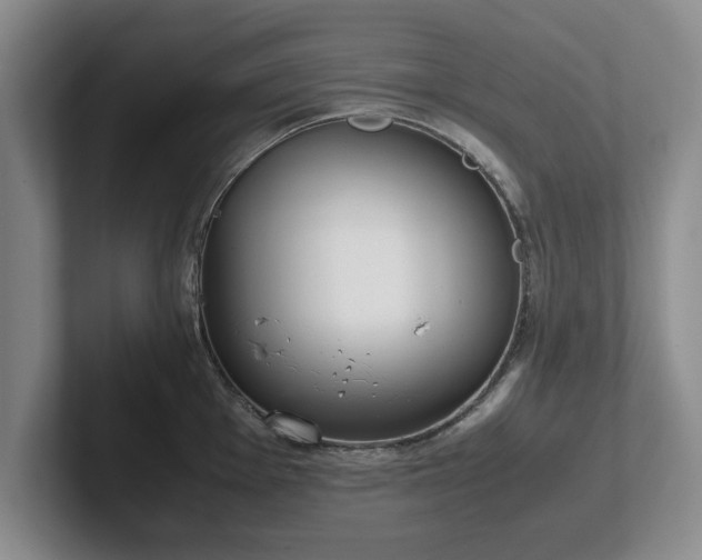 X0000102471001200808151424