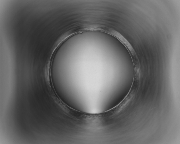 X0000102471002200808151424