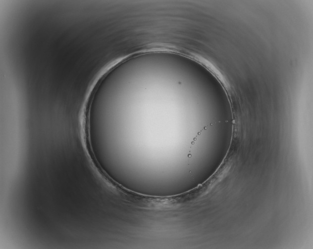 X0000102471003200808151424