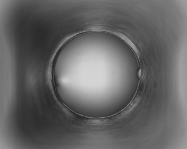 X0000102471005200808151424