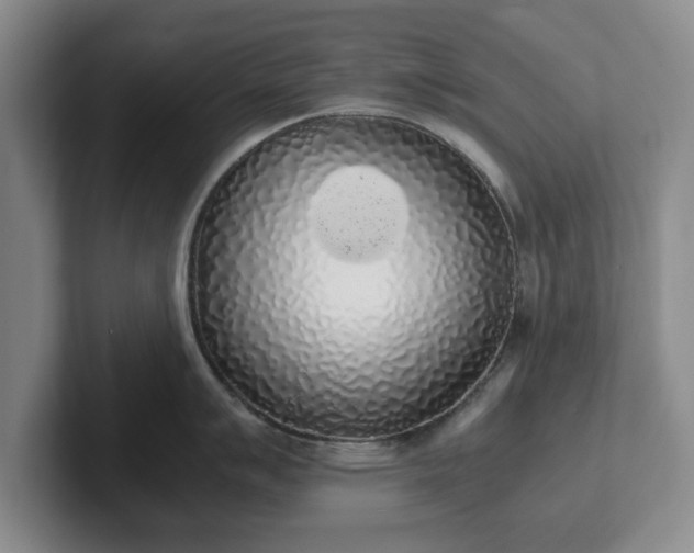 X0000102471007200808151424