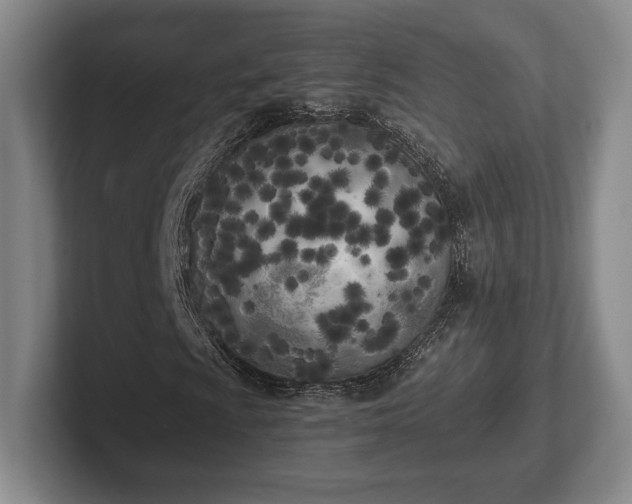 X0000102471009200808151423