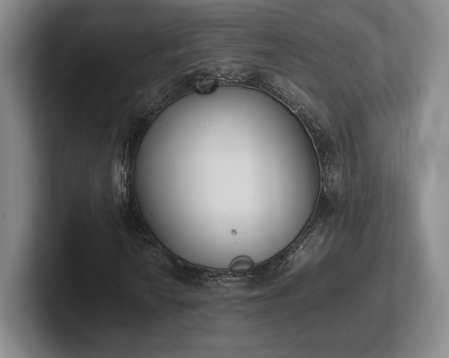 X0000102471010200808151423