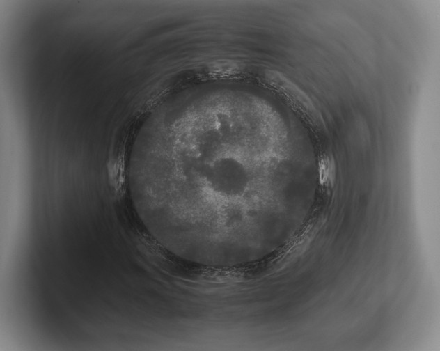 X0000102471011200808151423