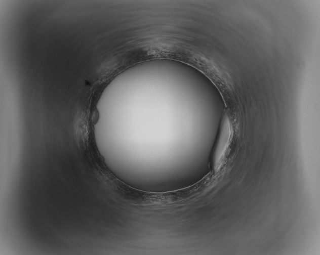 X0000102471012200808151423