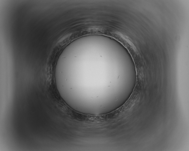 X0000102471015200808151423