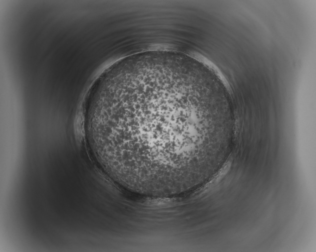 X0000102471019200808151424