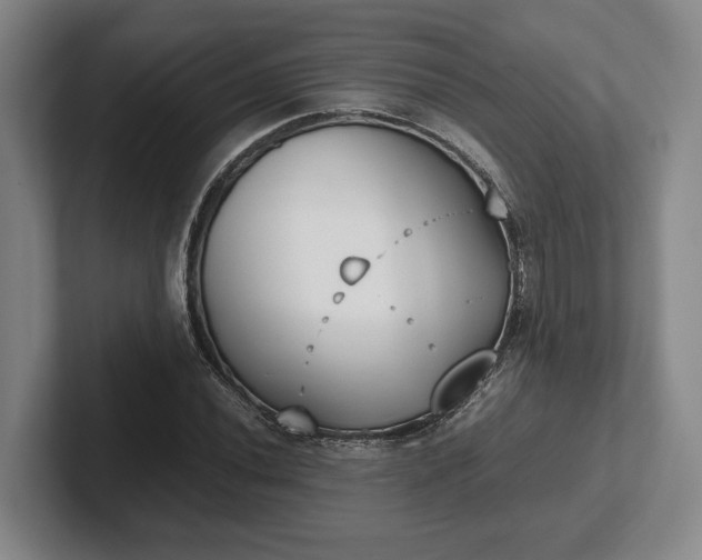 X0000102471020200808151424