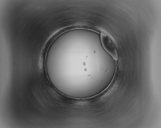 X0000102471021200808151424