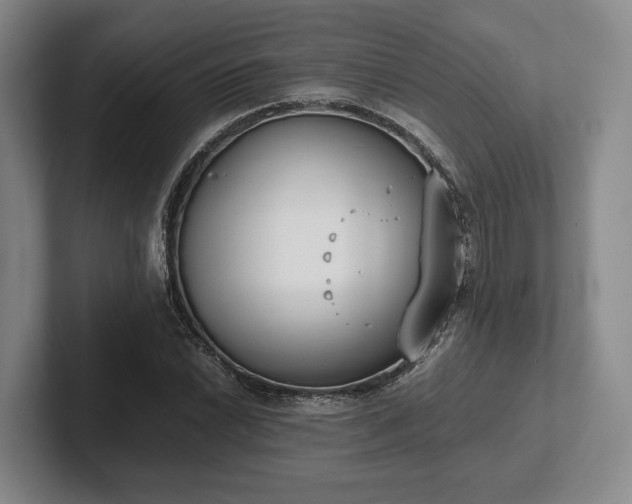X0000102471022200808151424