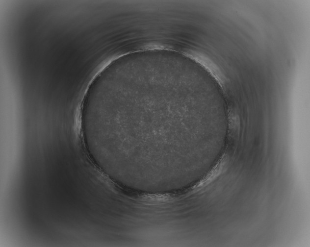 X0000102471023200808151424