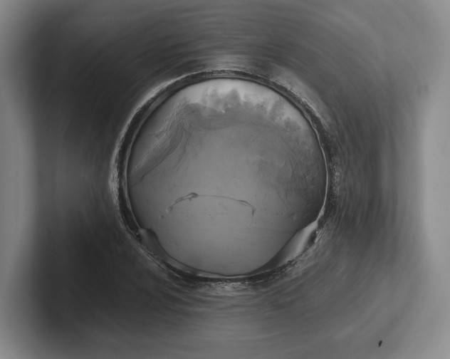 X0000102471024200808151424