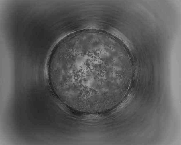 X0000102471027200808151424