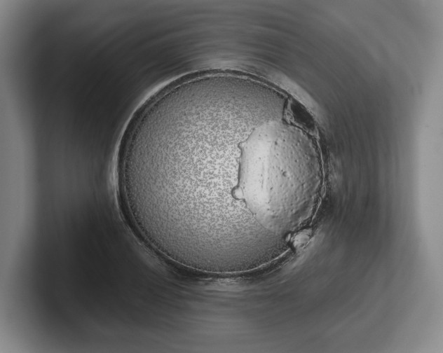 X0000102471028200808151424