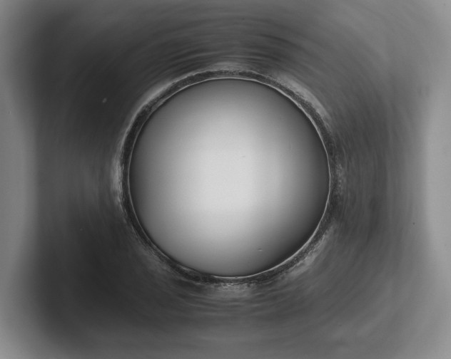 X0000102471029200808151424