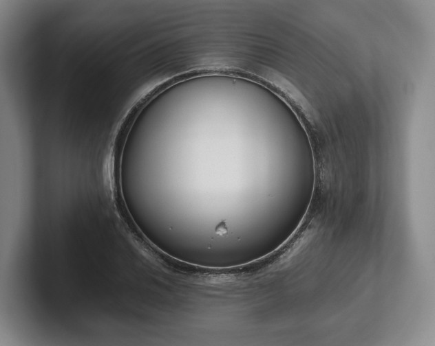 X0000102471030200808151424