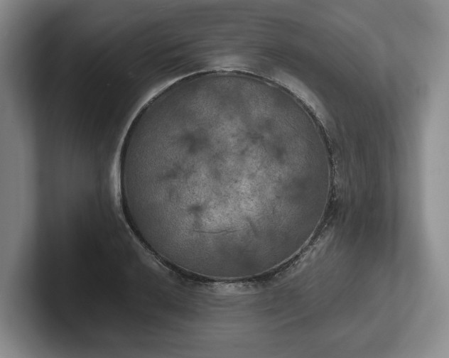 X0000102471032200808151424