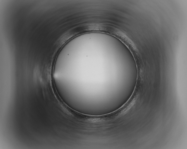 X0000102471033200808151424