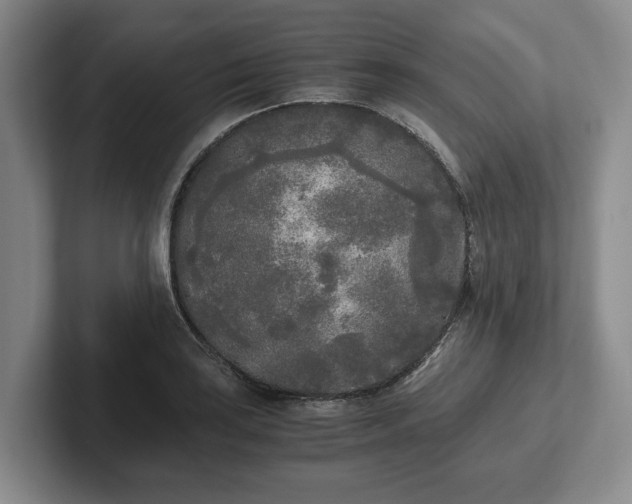 X0000102471035200808151424