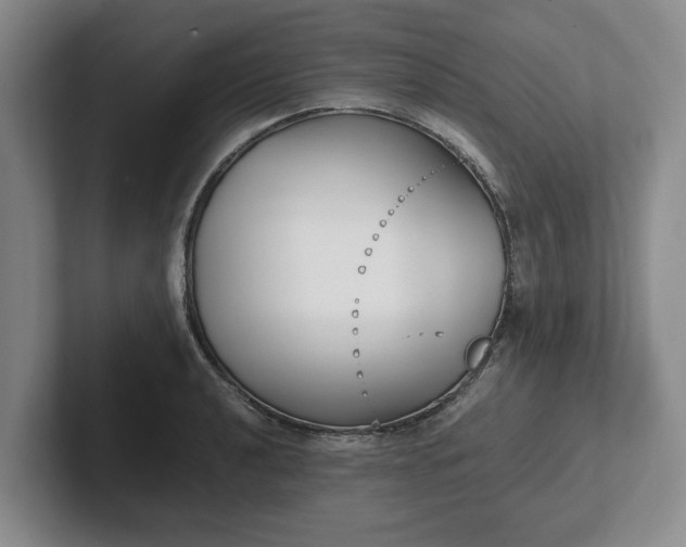 X0000102471040200808151424