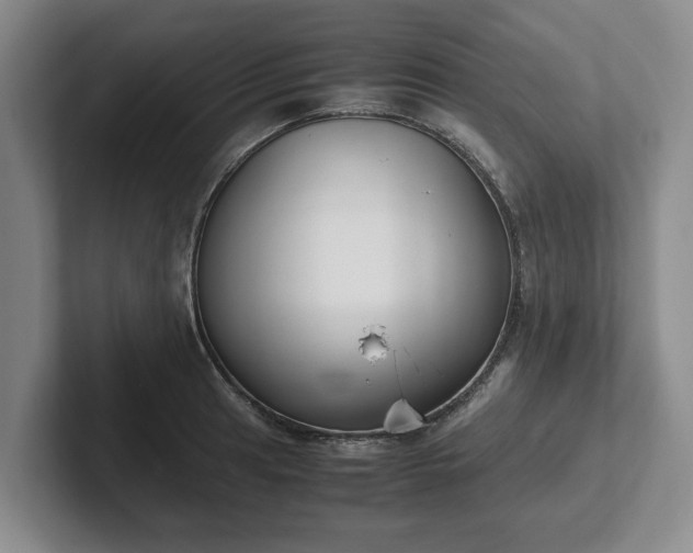 X0000102471041200808151424