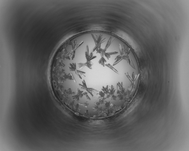X0000102471043200808151424