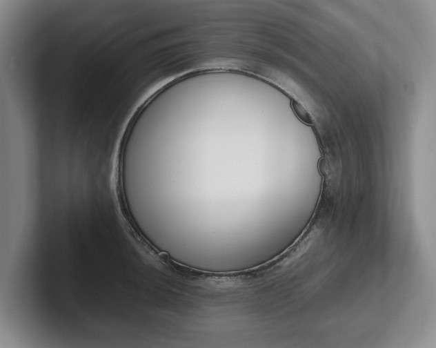 X0000102471044200808151424