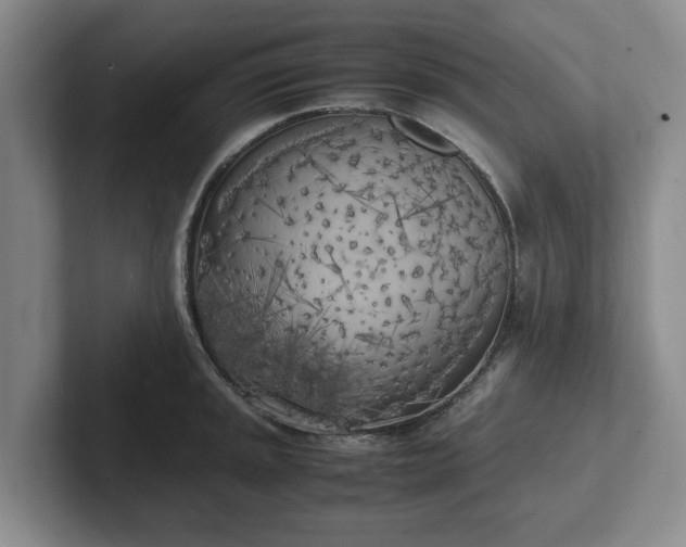 X0000102471045200808151424