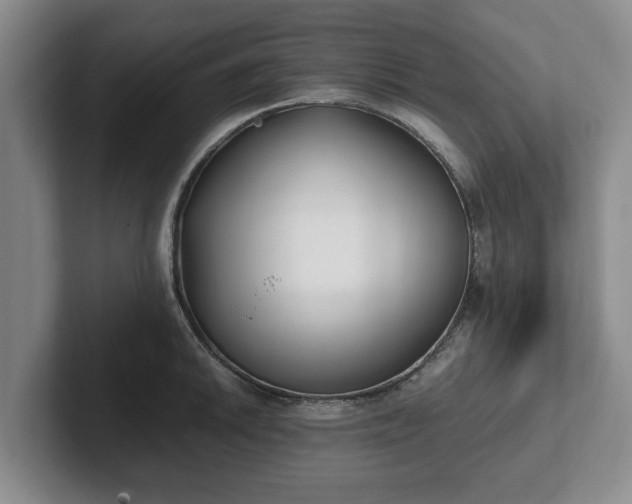 X0000102471046200808151424