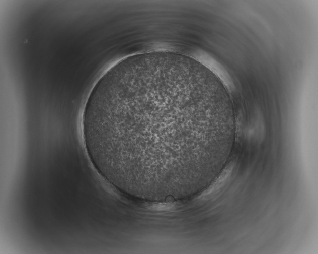 X0000102471047200808151424