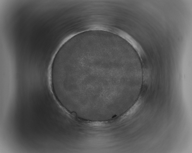 X0000102471048200808151424