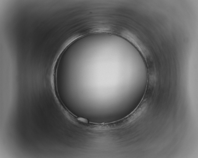 X0000102471050200808151424
