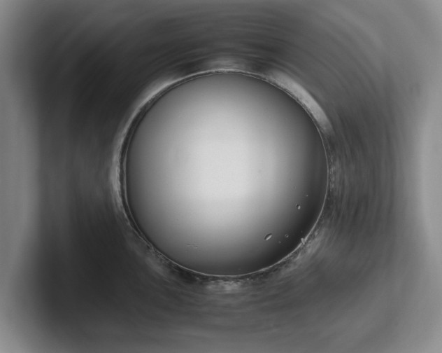 X0000102471051200808151424